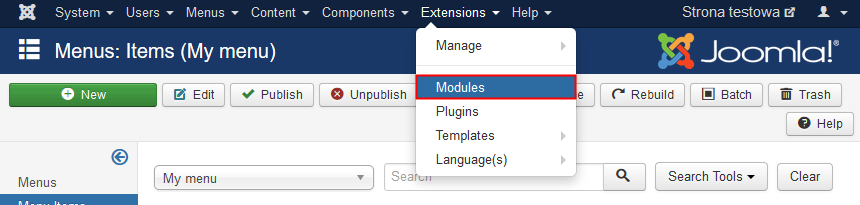 How to display Joomla module?